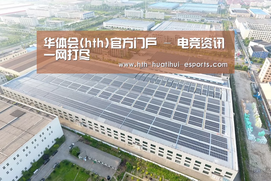 案例展示一