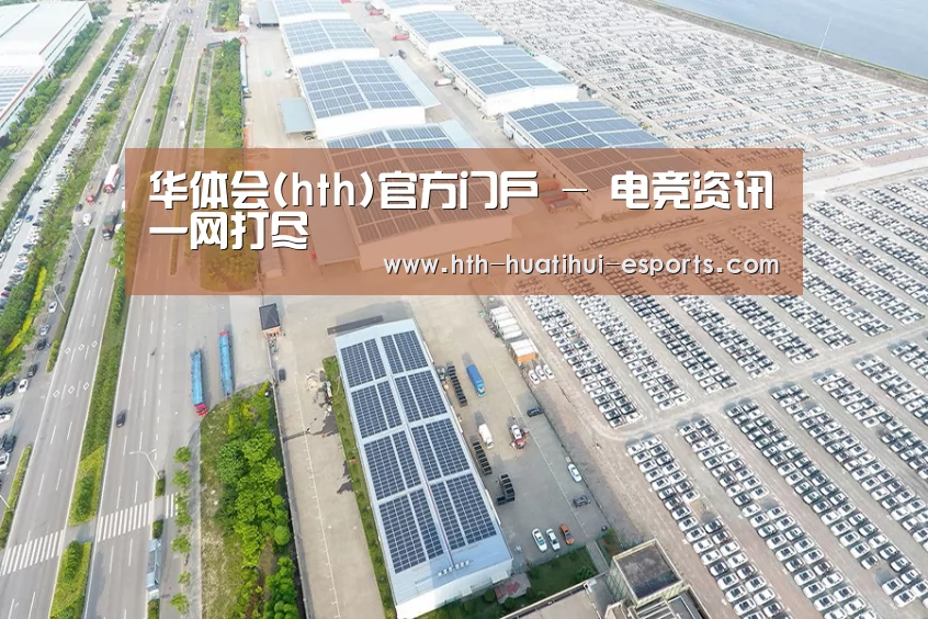 案例展示一
