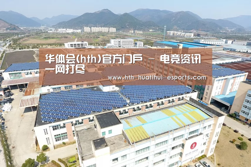 案例展示三