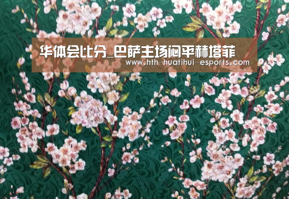 华体会品牌