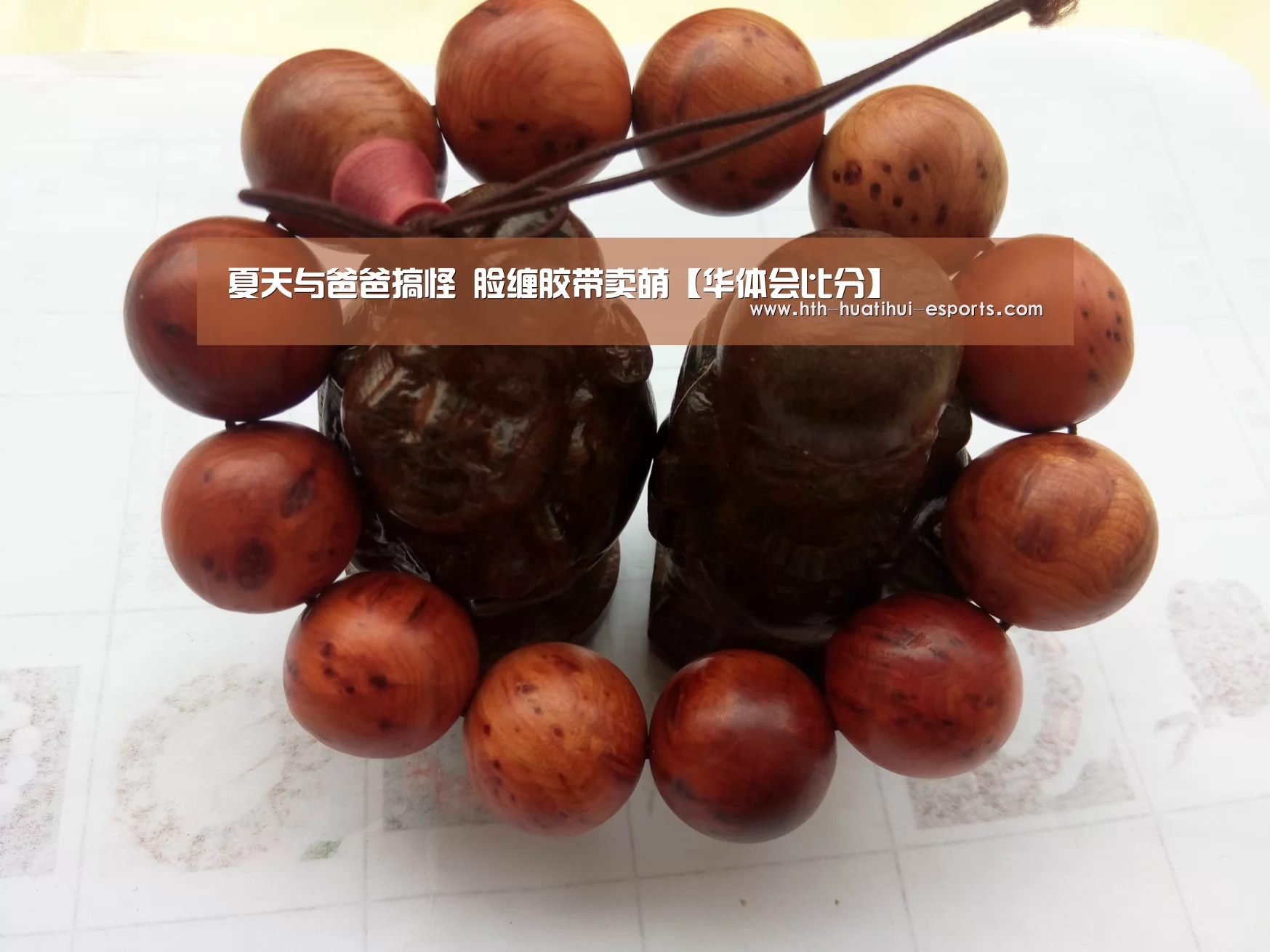 华体会数据