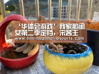 ‘华体会游戏’我家那闺女第二季定档,宋茜王鸥受邀录制(图2) 华体会品牌
